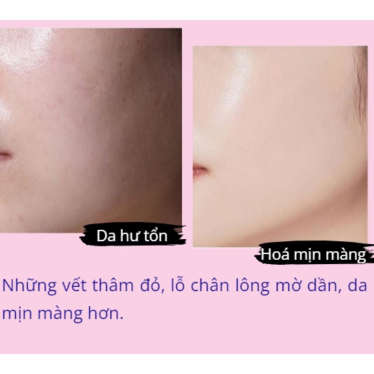 Mặt nạ men trứng Seven seed powder