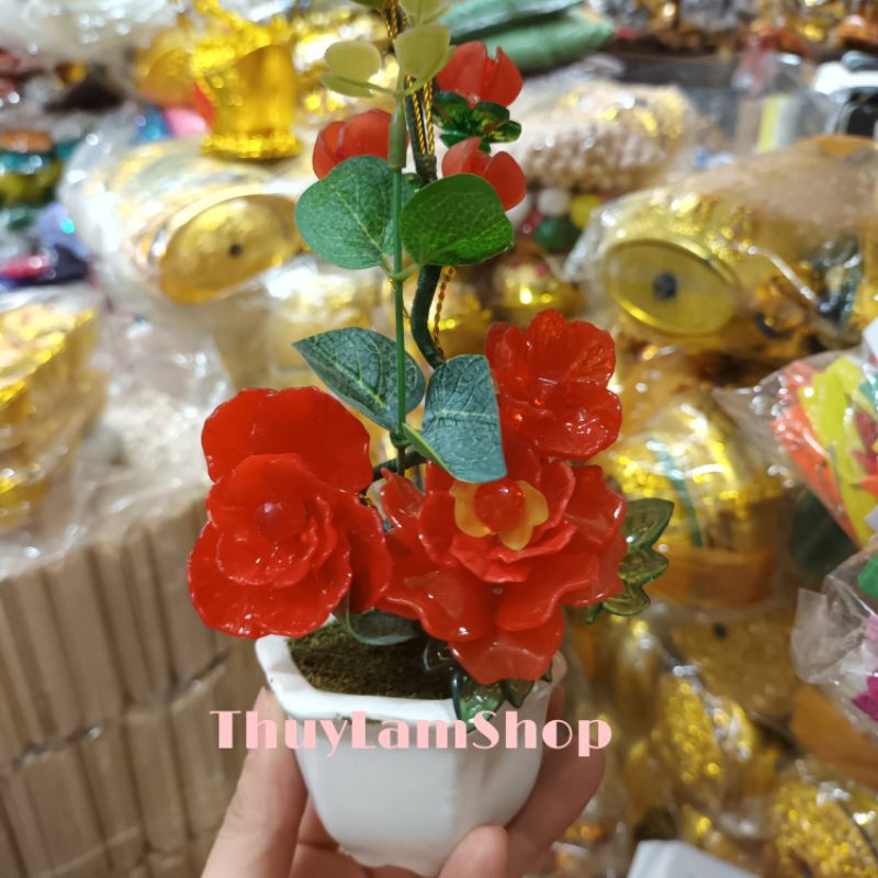 Chậu gốm sứ bình bông mai mini xinh xinh để bàn hút may mắn