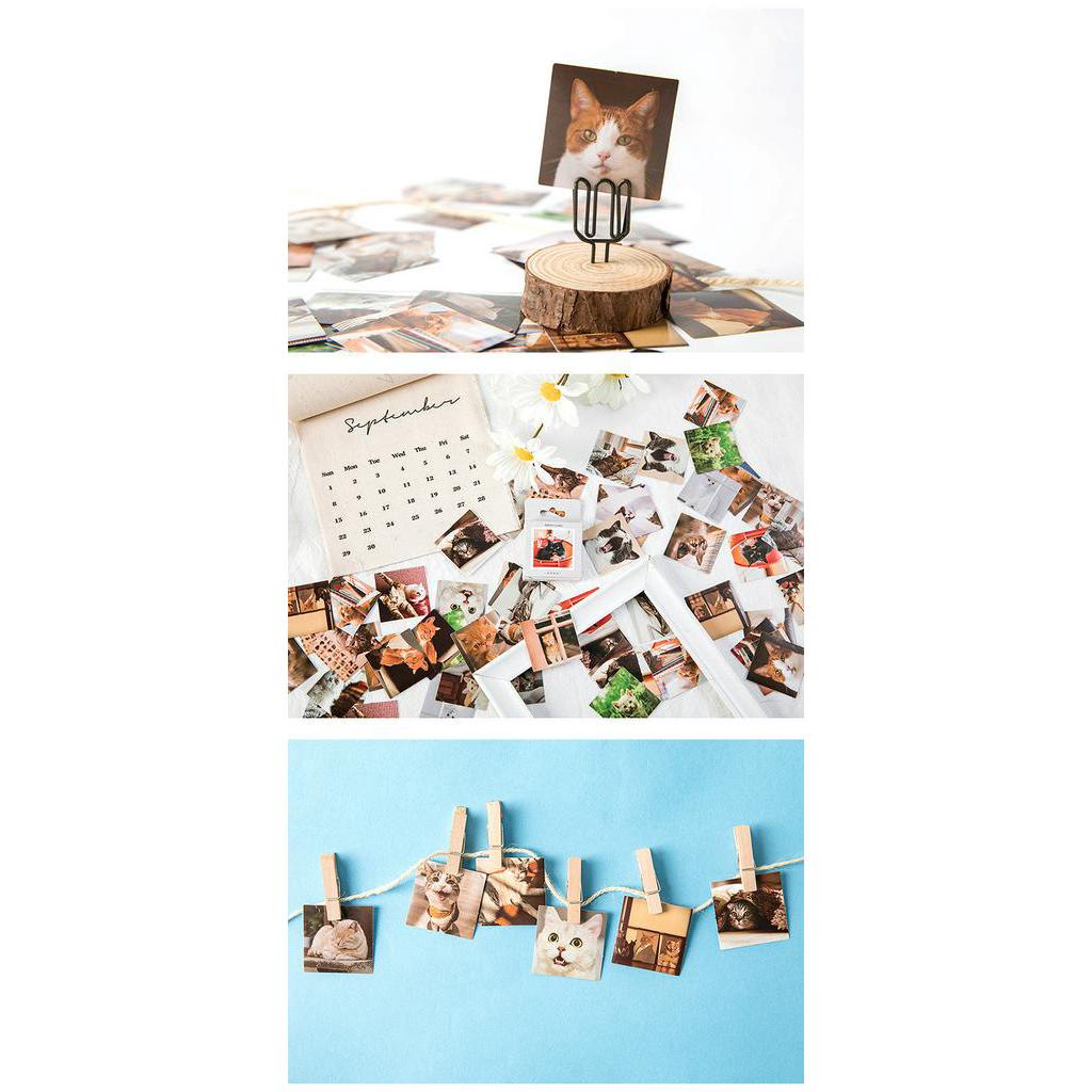Set 46 Miếng Dán Trang Trí Hình Mèo Dễ Thương