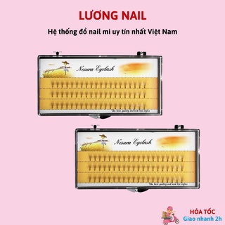 Mi volume 5D ( mi vàng )