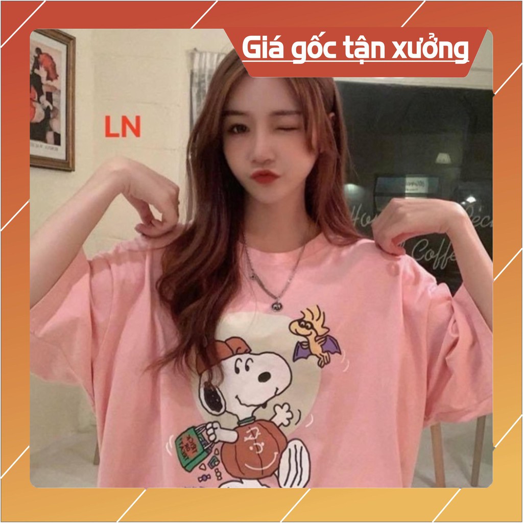 Áo chó bí ngô LN12