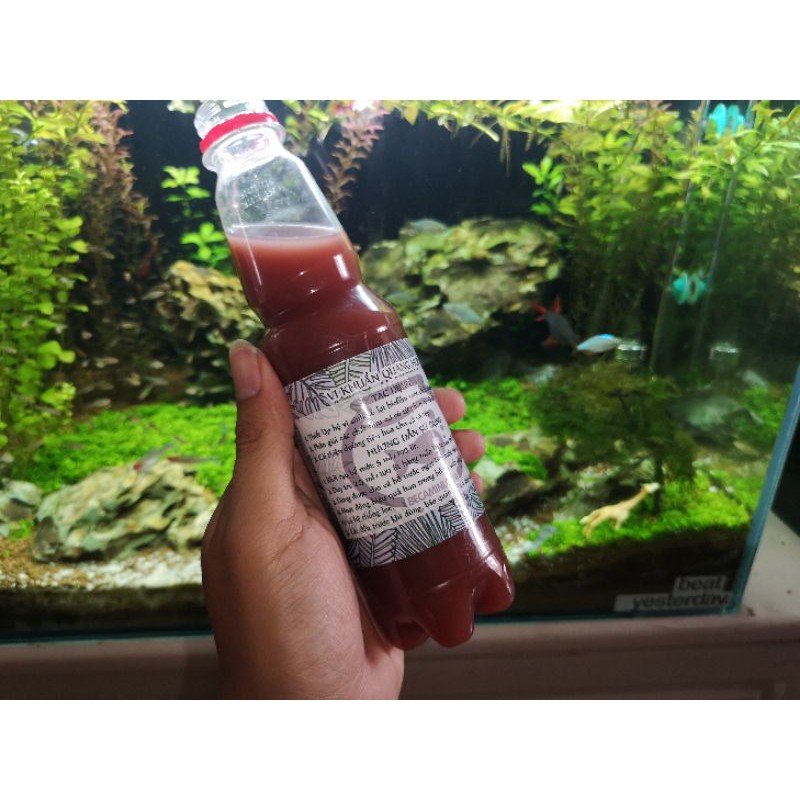 Vi sinh PSB làm trong nước bể cá