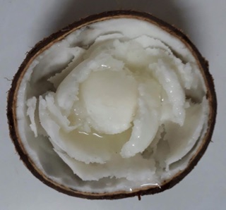 Dừa sáp
