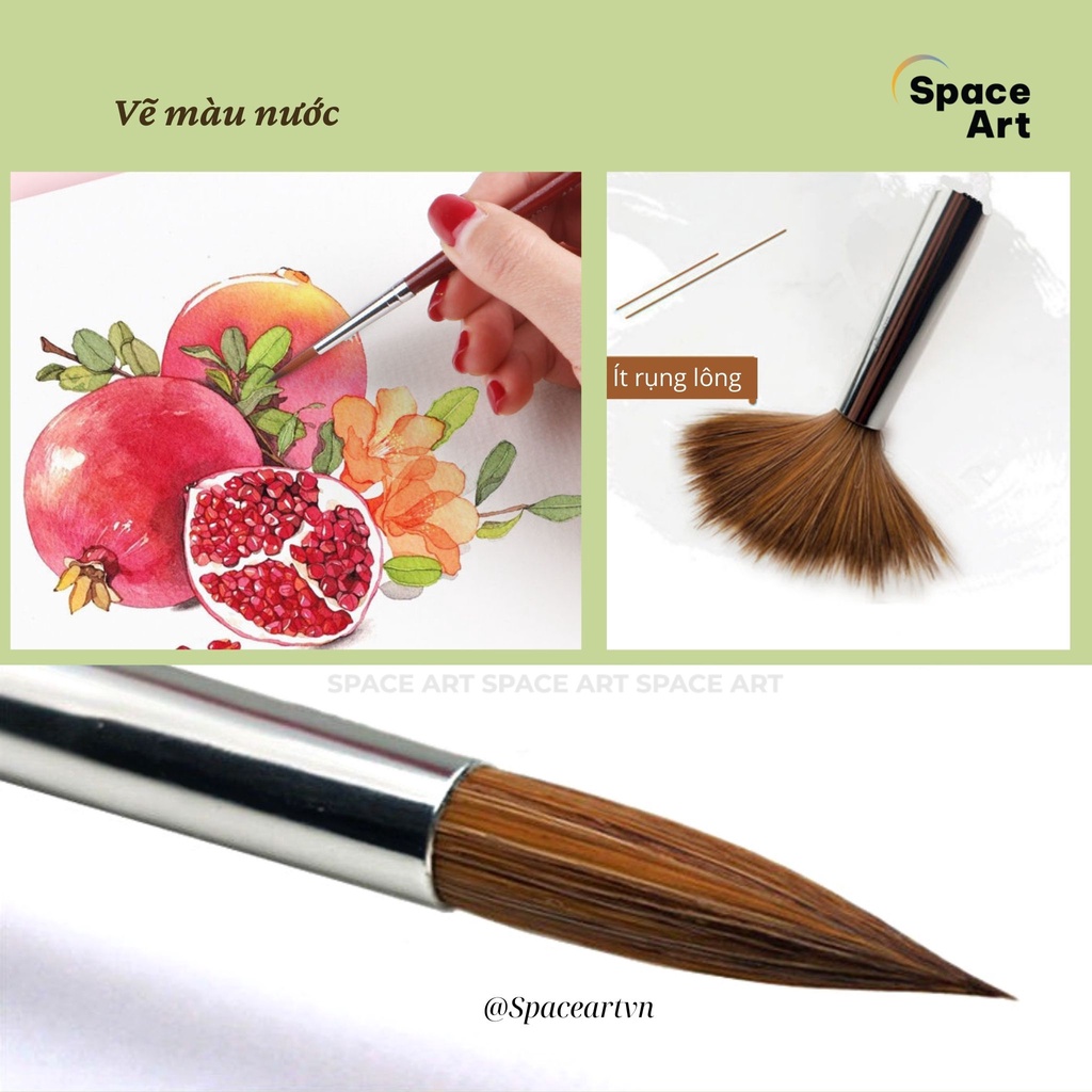 Cọ vẽ Nhọn Tròn Lông Chồn Space Art Taipei SP101 vẽ màu nước, acrylic, màu bột,sơn dầu