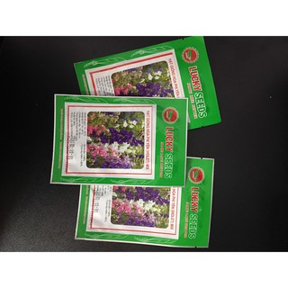 Hạt giống hoa phi yến mix