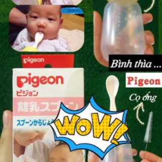 Bình thìa Pigeon