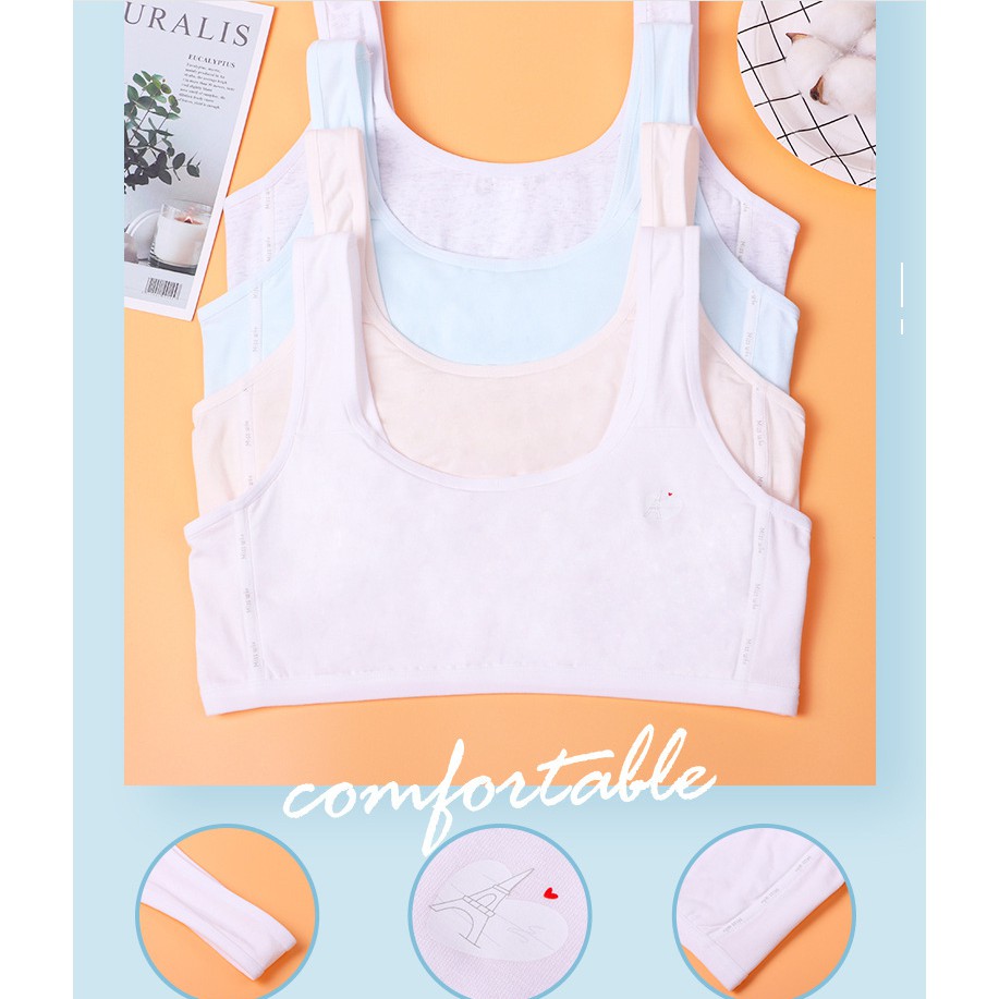 Bra / Áo Lá Học Sinh Cotton Xuất Đông Âu ( AL : 196 ) Hàng Loại Đẹp.