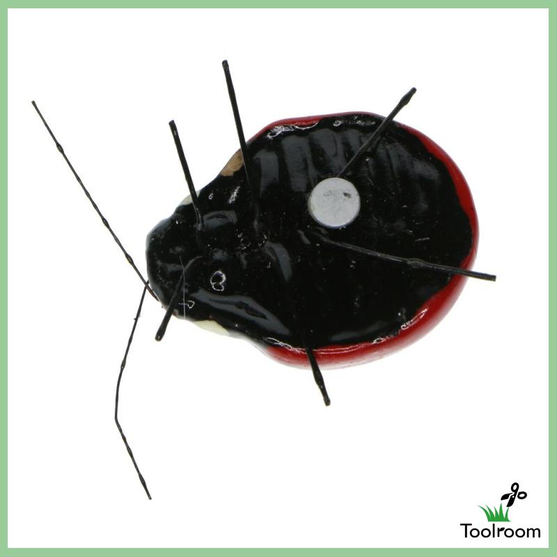 Đồ trang trí Côn Trùng Sống Động Dùng Trang Trí Sân Vườn / Văn Phòng