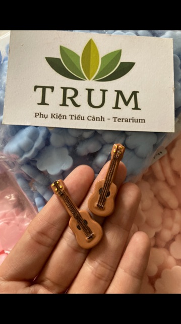 Đàn Guitar - Phụ Kiện Trang Trí Tiểu Cảnh Sen Đá - Terrarium