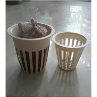 Combo 50 Rọ Thủy Canh 65x65x40