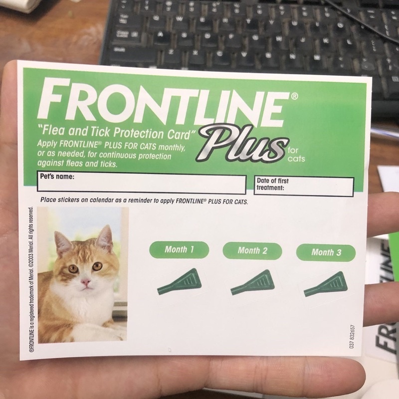Nhỏ gáy frontline plus cho mèo