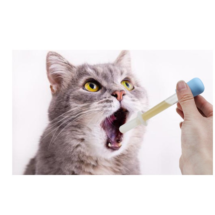 Bộ Que Đút Sữa Và Muỗng Đút Sữa Cho Thú Cưng (SÓC, THỎ ,CHÓ, MÈO)