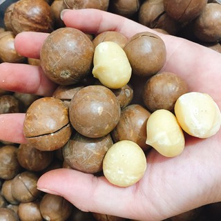 HẠT MACADAMIAM NỨT VỎ 500 GR