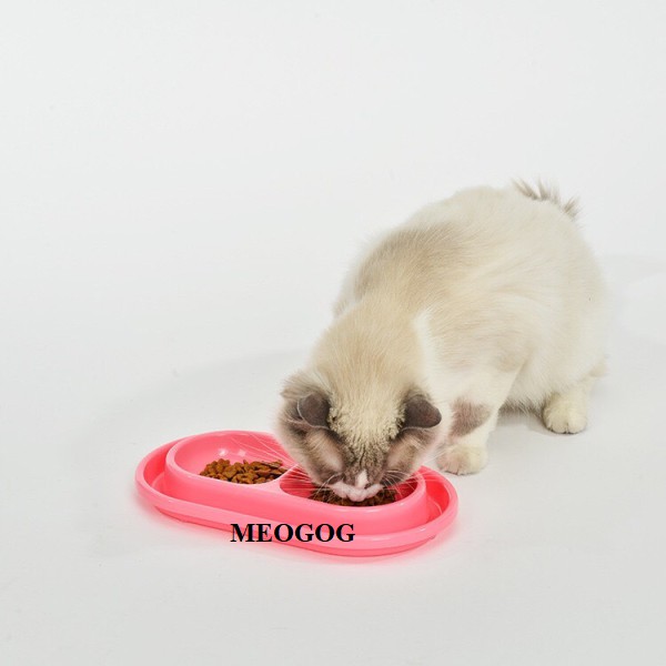 Bát ăn đôi bát ăn chống kiến cho chó mèo MEOGOG