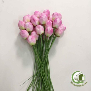 Cành hoa sen giả - cành sen vải lụa cao cấp