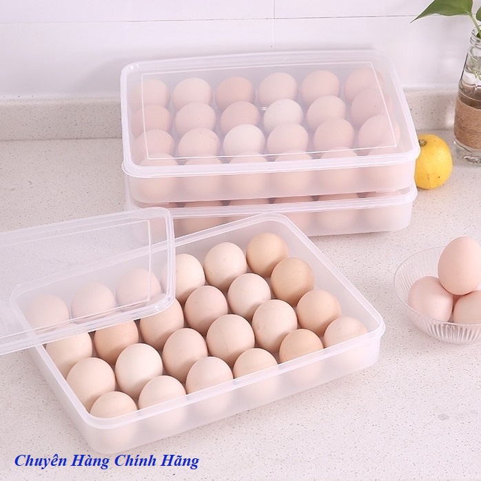 Khay nhựa 24 ngăn HA22 đựng trứng gà, vịt nhựa Việt Nhật tiện lợi, sạch sẽ 6786