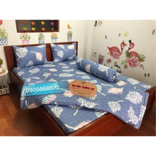 Bộ chăn ga gối 5 món kèm mền chần gòn màu như hình 100% coon