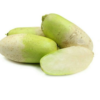 hạt giống củ cải hàn quốc