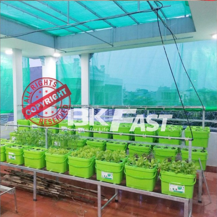 DUNG DỊCH DINH DƯỠNG THỦY CANH TĨNH BKFAST - ĐH Bách Khoa Hà Nội