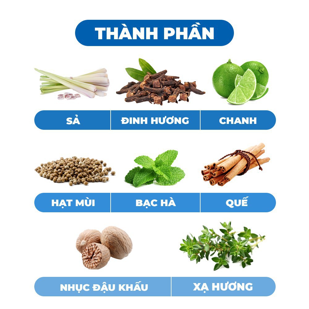 Tinh Dầu Argol Essenza Balsamica - Giúp giảm tiết đờm, giảm ho, giảm khàn giọng - Hộp 50ml