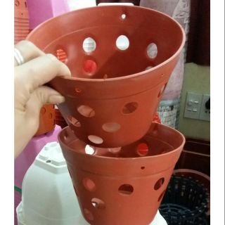 Chậu nhựa trồng lan phi 17cm