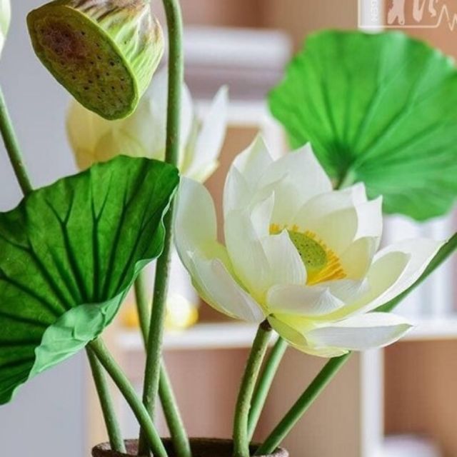 Hoa sen giả cỡ lớn trang trí nhà cửa, bàn thờ, hồ bơi, hội trường, sân vườn