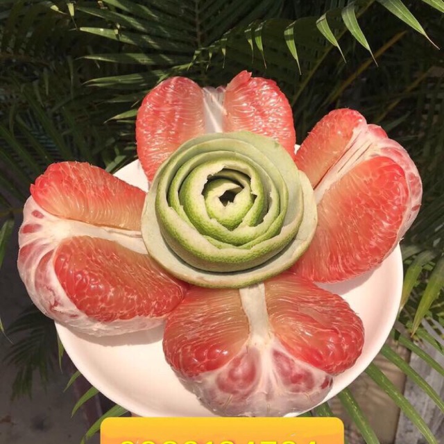 ] Bưởi da xanh bến tre ( 1-1.2kg )