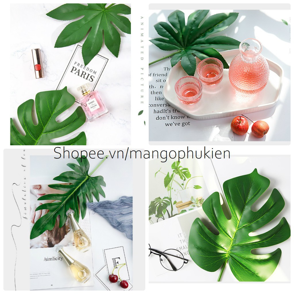 Lá cây chụp ảnh sản phẩm chuyên nghiệp ( Lá nhựa chụp ảnh loại dày xịn )