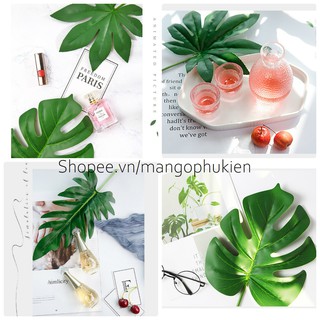 Lá cây chụp ảnh sản phẩm chuyên nghiệp ( Lá nhựa chụp ảnh loại dày xịn )
