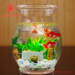 BÌNH THỦY TINH NUÔI CÁ ĐỂ BÀN, CHẬU CÁ THỦY TINH MINI MẪU BDL