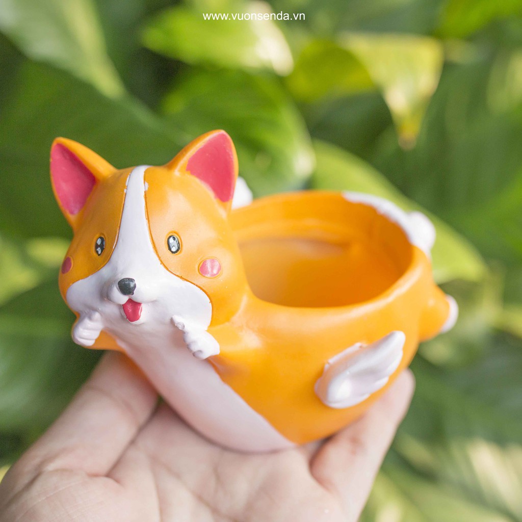 Chậu corgi bay (nhựa cứng) - Vườn sen đá