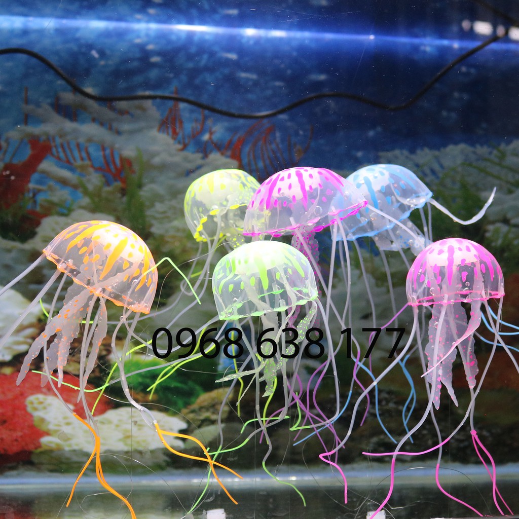 Đồ chơi Sứa Bay nhiều màu sắc Trang Trí Hồ Cá - Phụ kiện hồ cá hồ thủy sinh