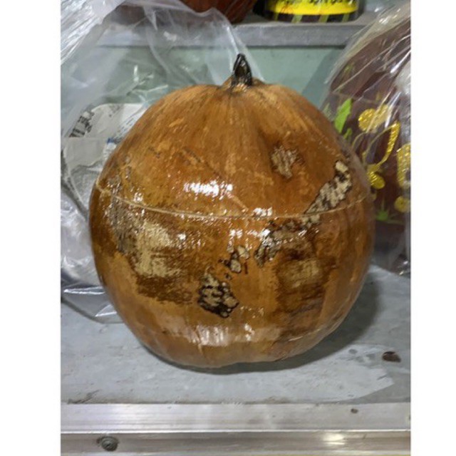 Vỏ giữ ấm bình trà trái dừa +Tặng ấm tích trà nhiều Size | BigBuy360 - bigbuy360.vn