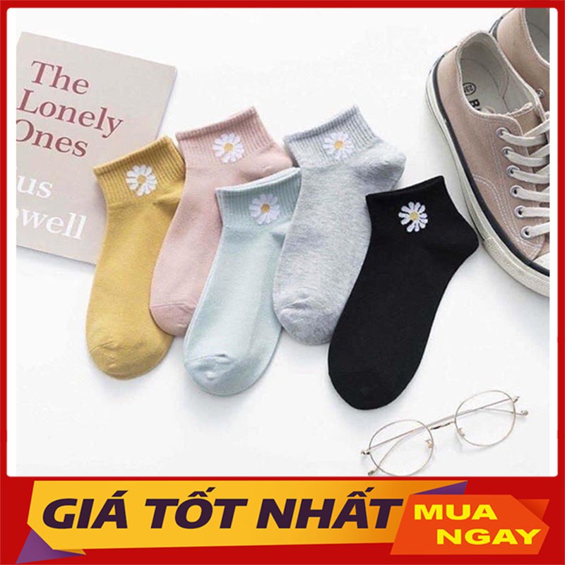 Sét 10 Đôi Tất Cúc Họa Mi Kèm Túi Cực Xinh