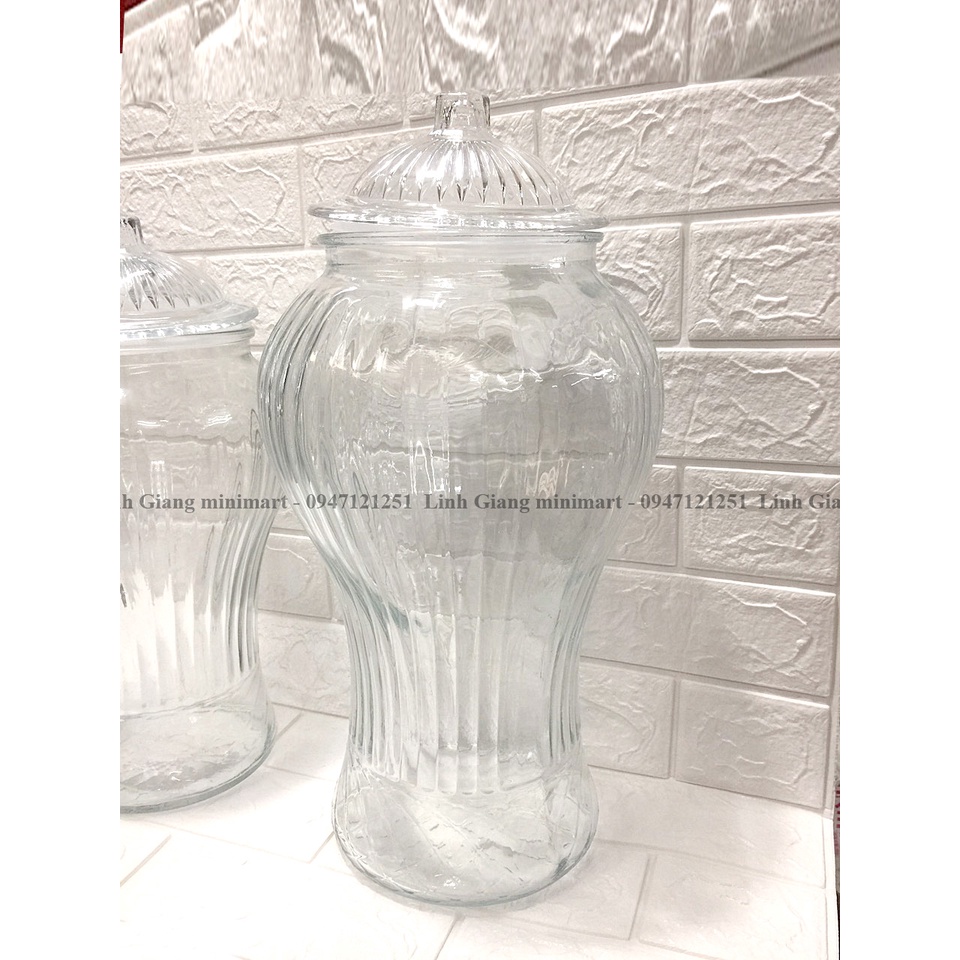 Bình ngâm rượu sâm cao cấp Thủy tinh Việt tiệp Bình sâm sọc 5L và 8L Hàng Việt nam dày dặn chất lượng cao