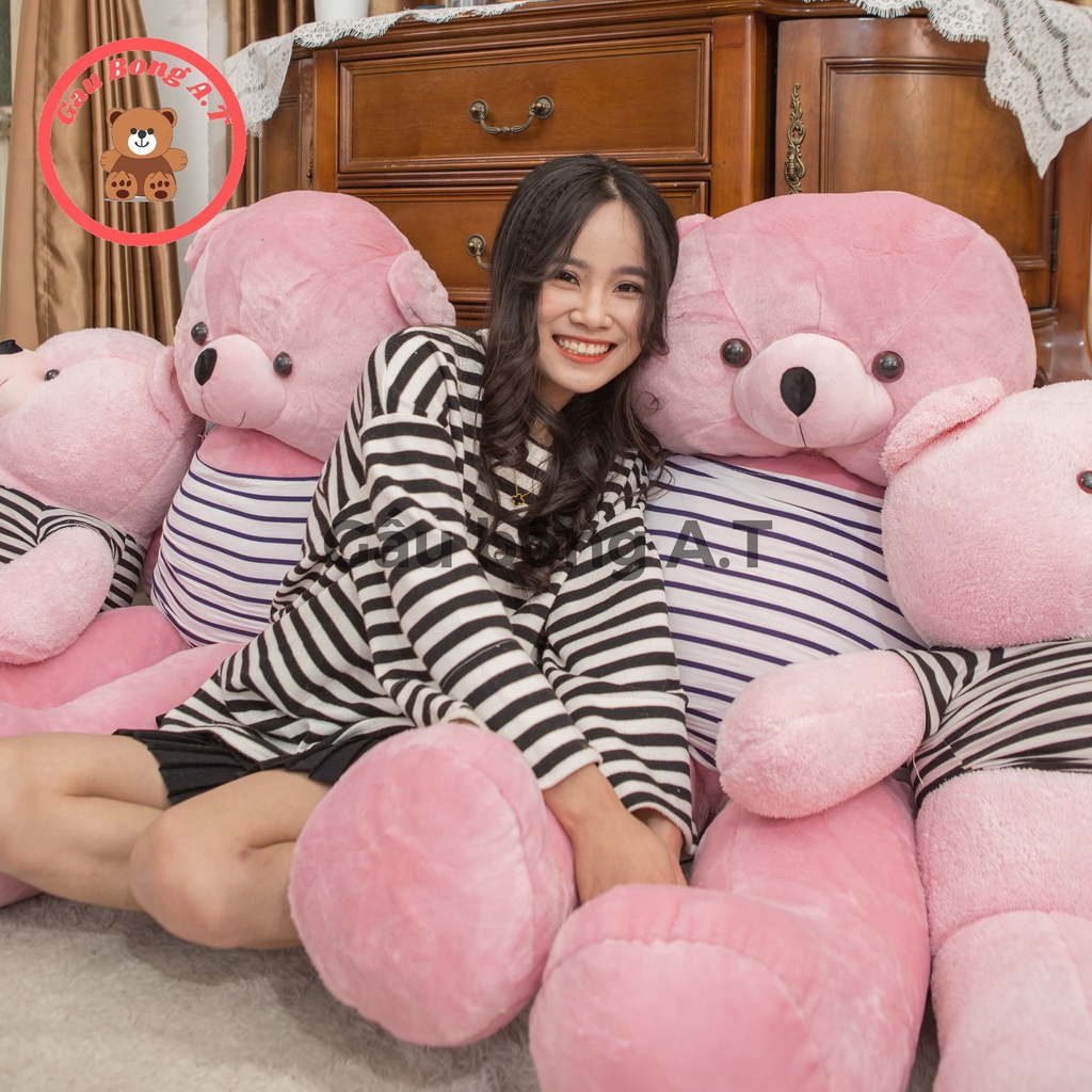 [HOT] Gấu Bông Teddy - Thú Nhồi Bông Teddy Siêu To Màu Hồng_ size 1m2-1m4_ Gấu Bông A.T _AT005