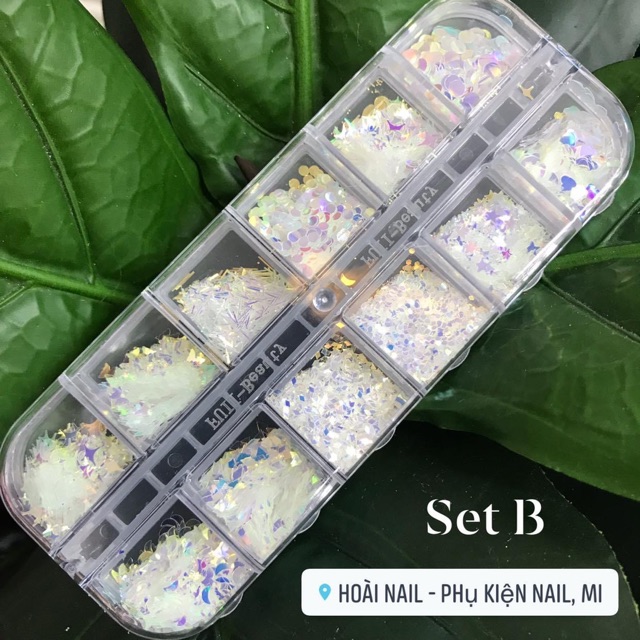 Set nhũ ẩn gel 12 mẫu