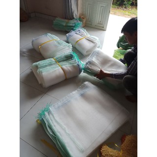 500 túi bao mít cước thái 50x70cm