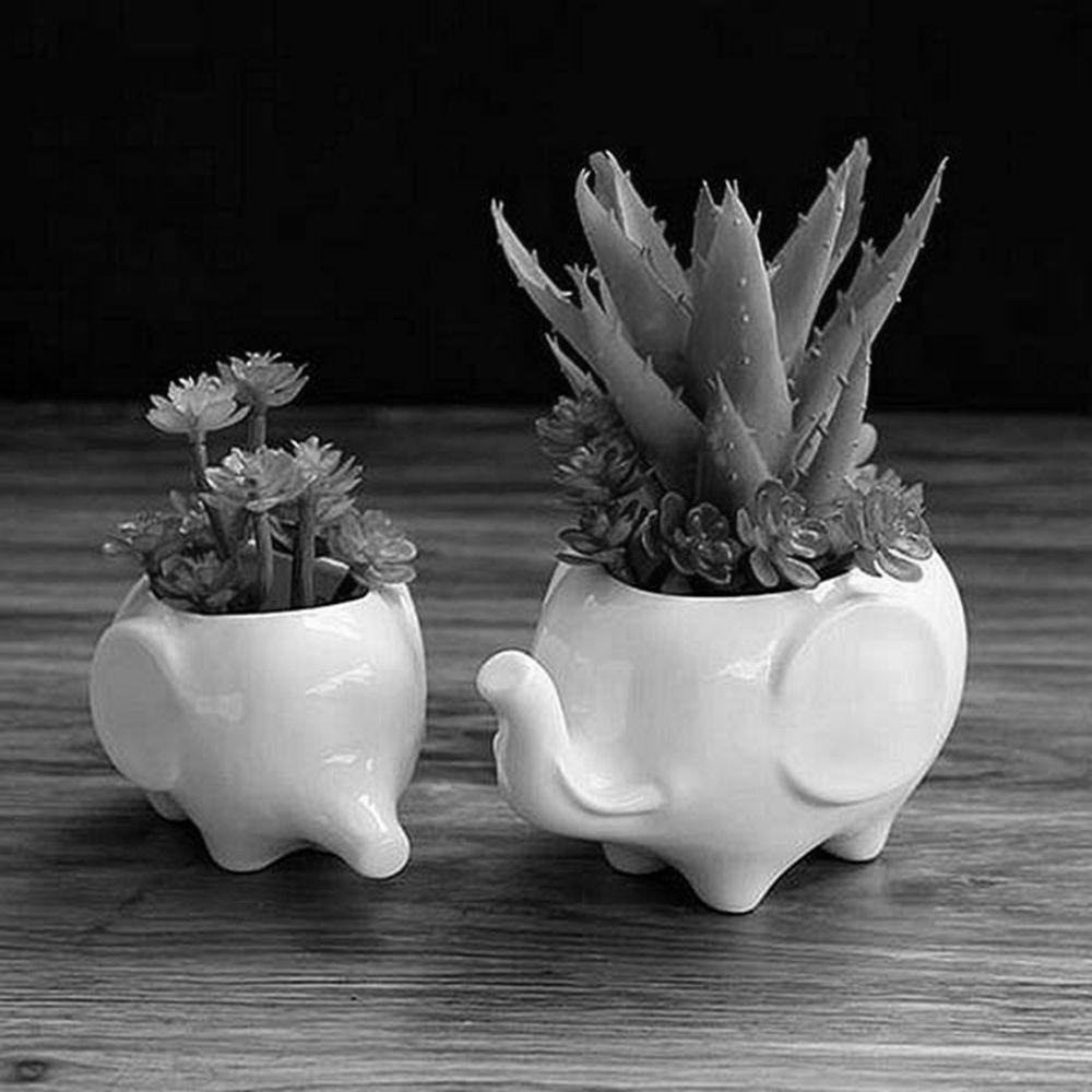 Chậu Hoa Để Bàn Hình Mèo / Voi Sáng Tạo Trang Trí Nội Thất