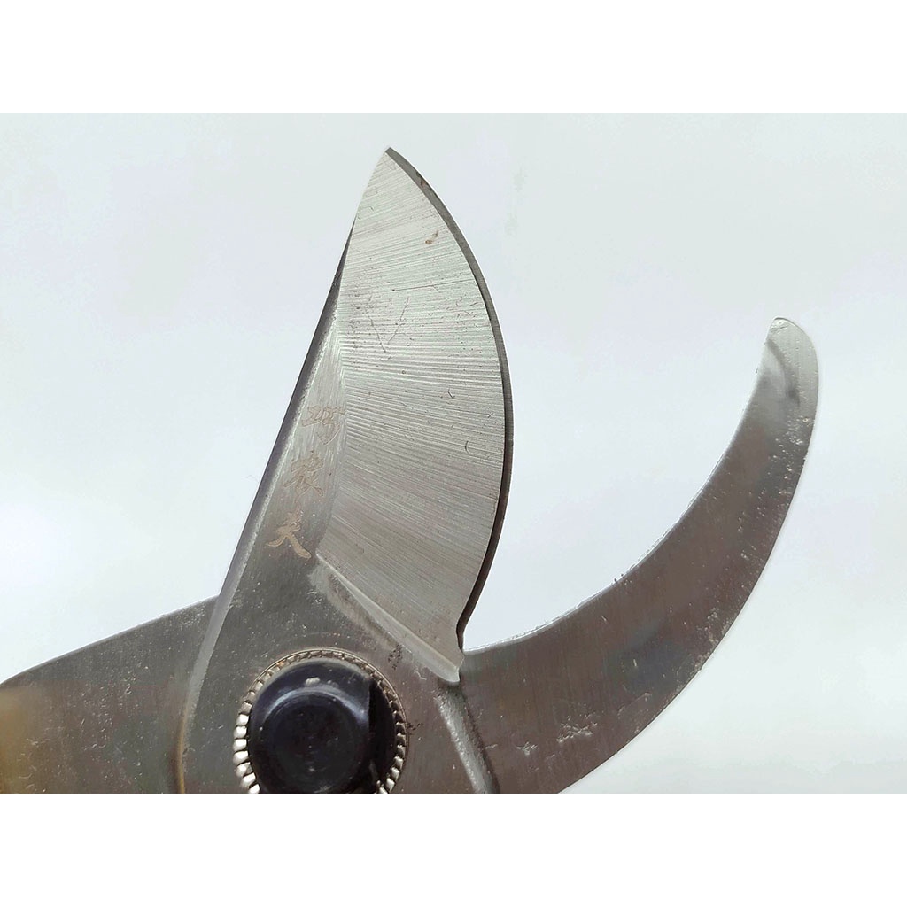 Kéo cắt tỉa lưng gù 175mm cán vàng