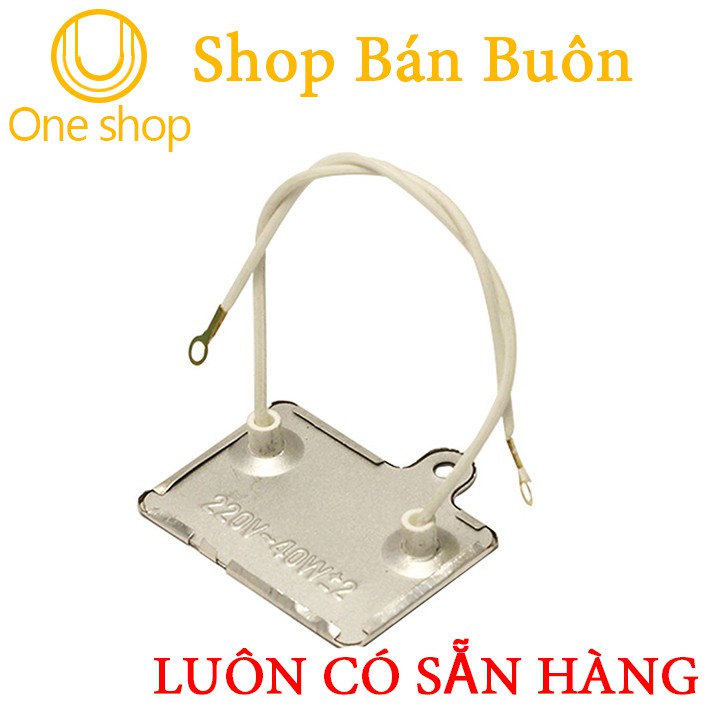 Điện Trở Nhiệt Dạng Lá 220VAC-40W
