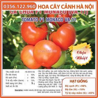 Hạt giống cà chua monaco chịu nhiệt - gói 5g