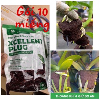 set 1 gói 10 miếng mút ươm ki lan phi điệp