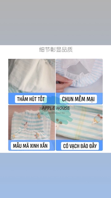 [TPHCM] Tã quần Bobdog Đậu size M24-L22-XL20-XXL18 miếng siêu mỏng siêu thoáng