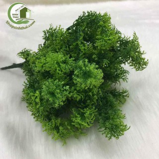 Cây rong rêu giả màu xanh