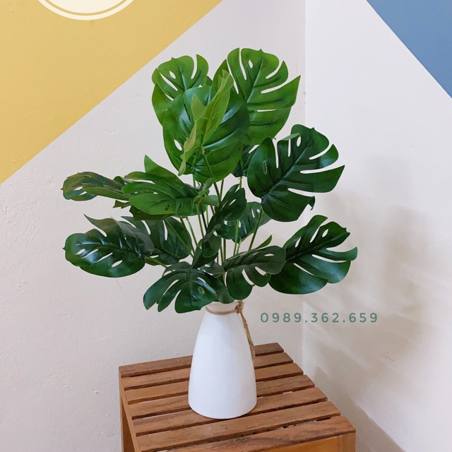 Combo cây lá xẻ kèm lọ hoa
