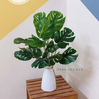 Combo cây lá xẻ kèm lọ hoa