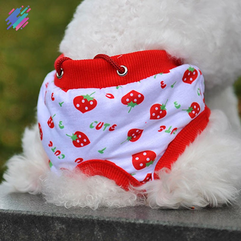 Quần tã sinh lý kiểu dáng xinh xắn cho thú cưng giống cái size S/ M/ L/ XL