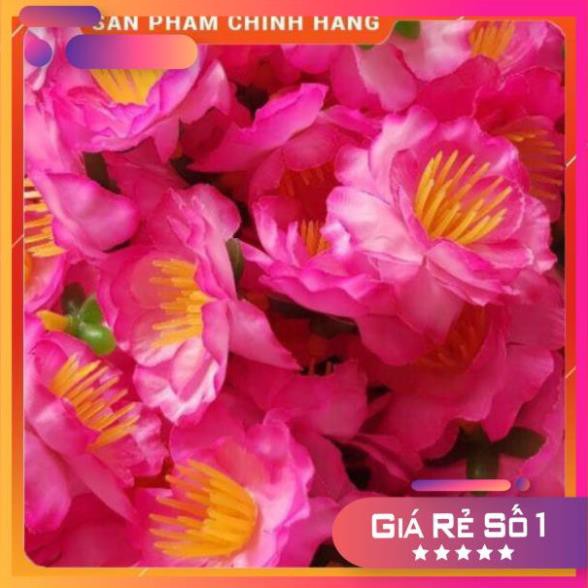 Hoa đào mai giả 1kg