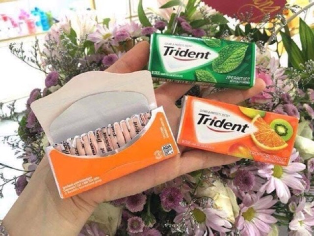 Sing gum TRIDENT Mỹ vị quế